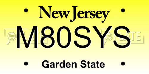 M80SYS New Jersey License Plate