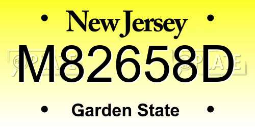 M82658D New Jersey License Plate