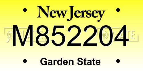 M852204 New Jersey License Plate