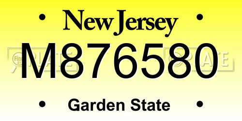 M876580 New Jersey License Plate