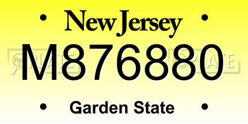M876880 New Jersey License Plate