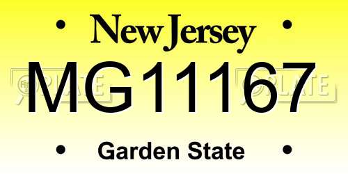 MG11167 New Jersey License Plate