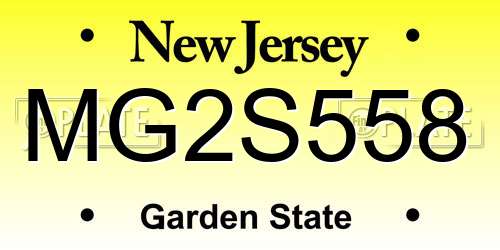 MG2S558 New Jersey License Plate