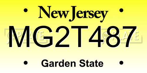 MG2T487 New Jersey License Plate
