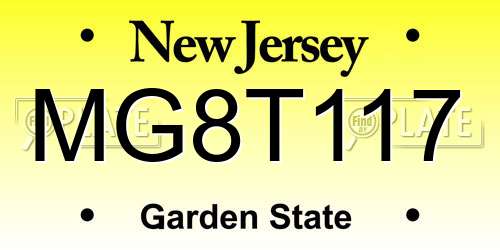 MG8T117 New Jersey License Plate