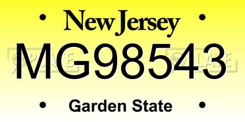 MG98543 New Jersey License Plate