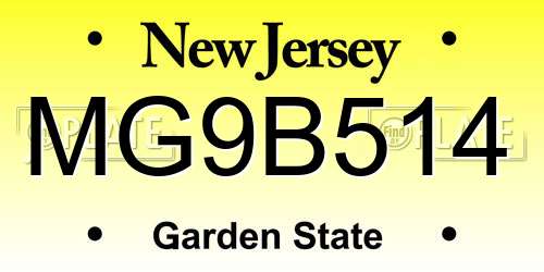 MG9B514 New Jersey License Plate
