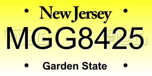 MGG8425 New Jersey License Plate