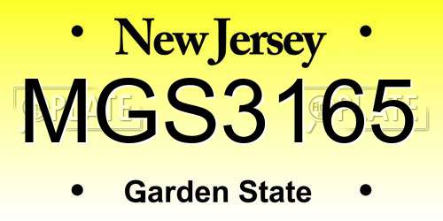 MGS3165 New Jersey License Plate