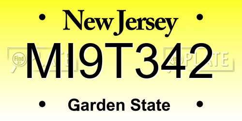 MI9T342 New Jersey License Plate