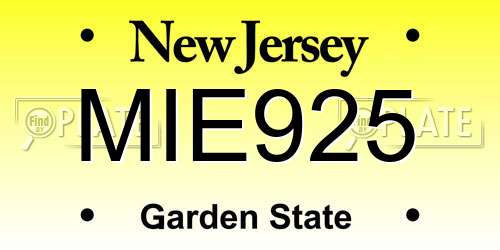 MIE925 New Jersey License Plate