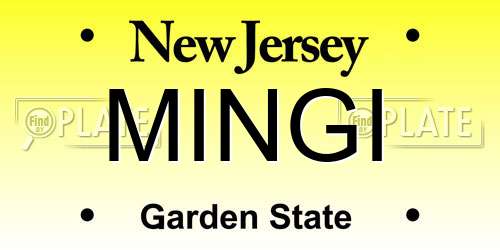 MINGI New Jersey License Plate