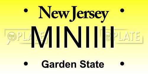 MINIIII New Jersey License Plate