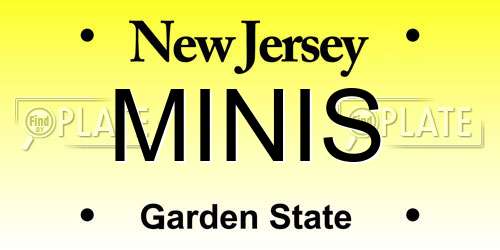 MINIS New Jersey License Plate