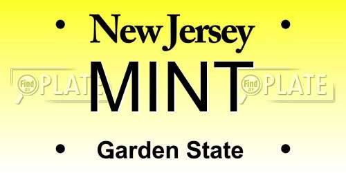 MINT New Jersey License Plate