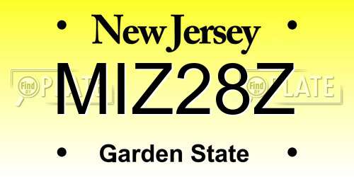 MIZ28Z New Jersey License Plate