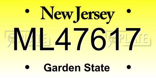 ML47617 New Jersey License Plate