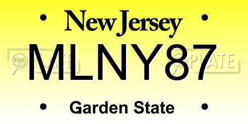 MLNY87 New Jersey License Plate