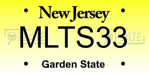 MLTS33 New Jersey License Plate