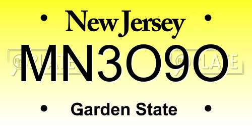 MN3O9O New Jersey License Plate