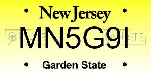 MN5G9I New Jersey License Plate