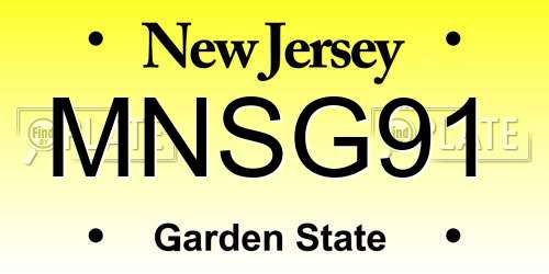 MNSG91 New Jersey License Plate