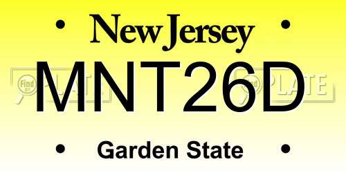 MNT26D New Jersey License Plate
