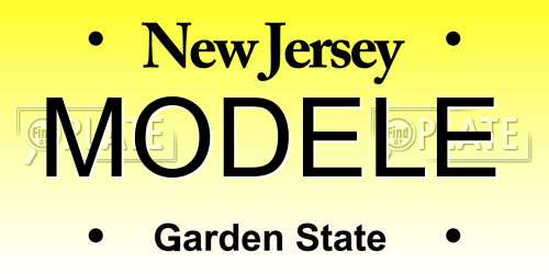 MODELE New Jersey License Plate