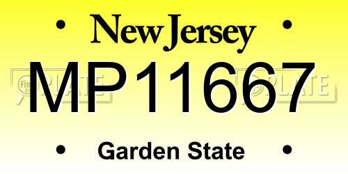 MP11667 New Jersey License Plate
