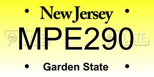 MPE290 New Jersey License Plate