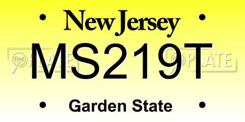 MS219T New Jersey License Plate