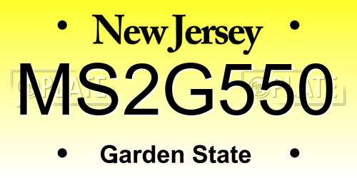 MS2G550 New Jersey License Plate