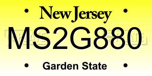 MS2G880 New Jersey License Plate