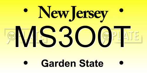 MS3O0T New Jersey License Plate