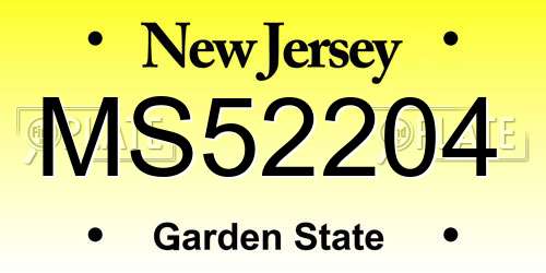 MS52204 New Jersey License Plate