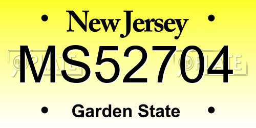 MS52704 New Jersey License Plate