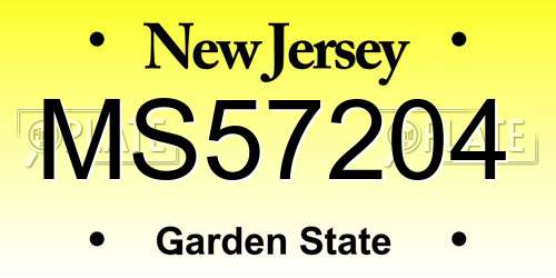 MS57204 New Jersey License Plate