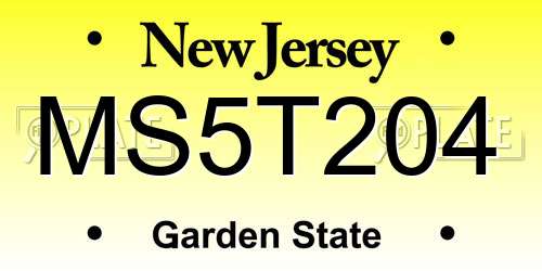 MS5T204 New Jersey License Plate