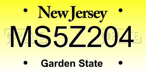 MS5Z204 New Jersey License Plate