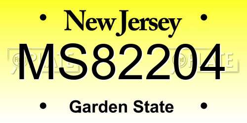 MS82204 New Jersey License Plate