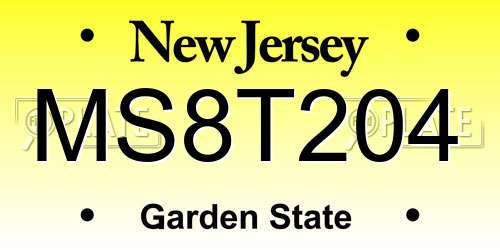 MS8T204 New Jersey License Plate