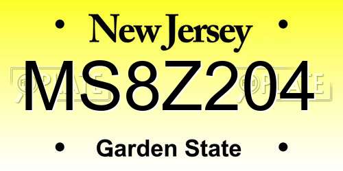 MS8Z204 New Jersey License Plate