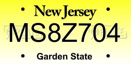 MS8Z704 New Jersey License Plate