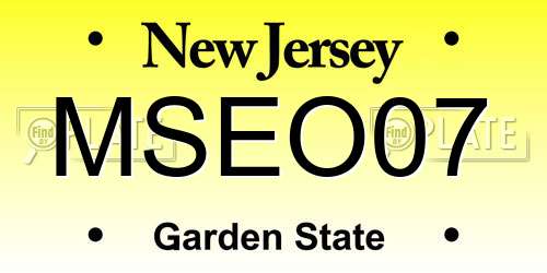 MSEO07 New Jersey License Plate