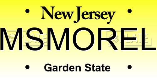 MSMOREL New Jersey License Plate