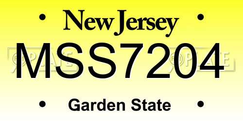 MSS7204 New Jersey License Plate