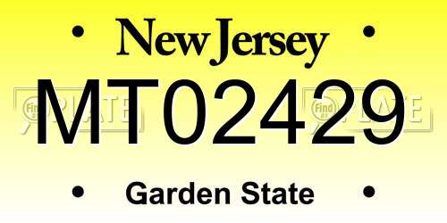 MT02429 New Jersey License Plate