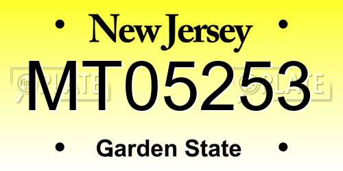 MT05253 New Jersey License Plate