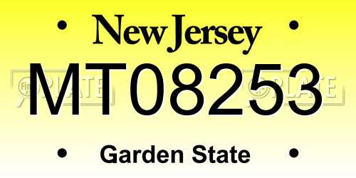 MT08253 New Jersey License Plate