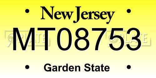 MT08753 New Jersey License Plate